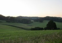 Amazon study highlights digital divide for rural businesses